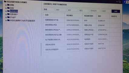個體工商戶開具發票時，信息技術咨詢服務與信息系統服務的區別